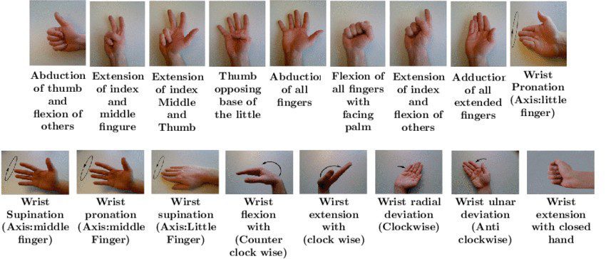 Wrist and Finger Movements